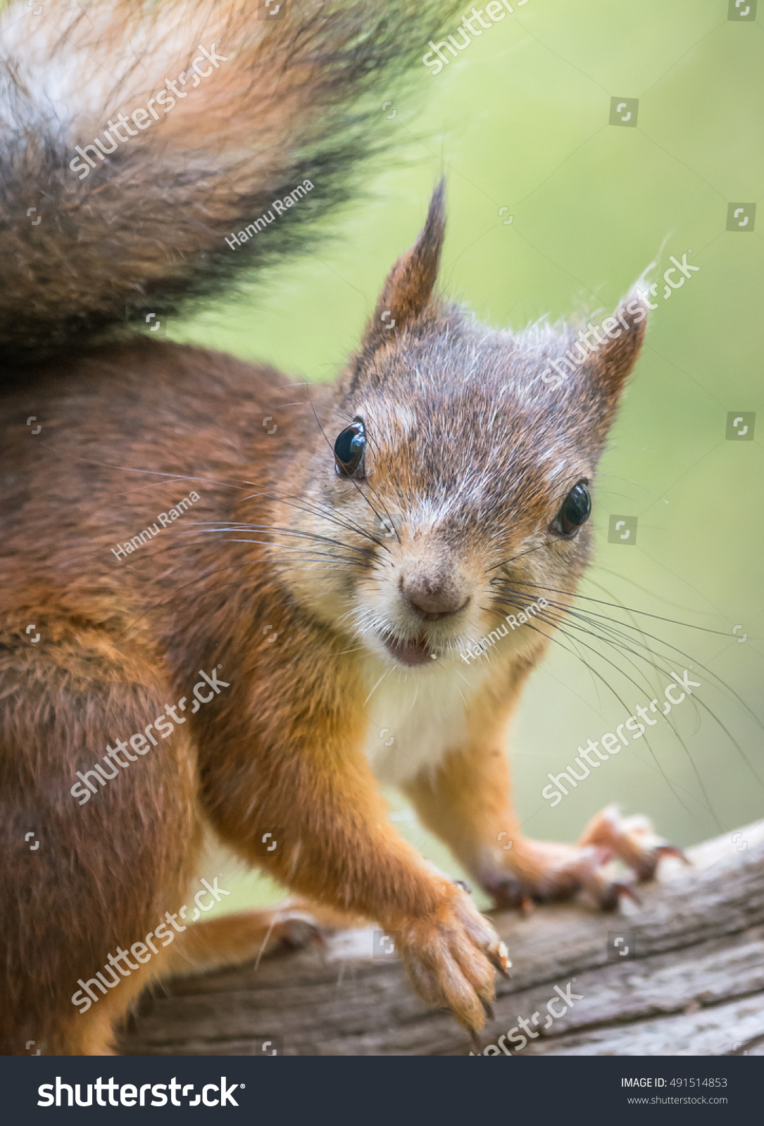 九游平台 -李怀秀undefined